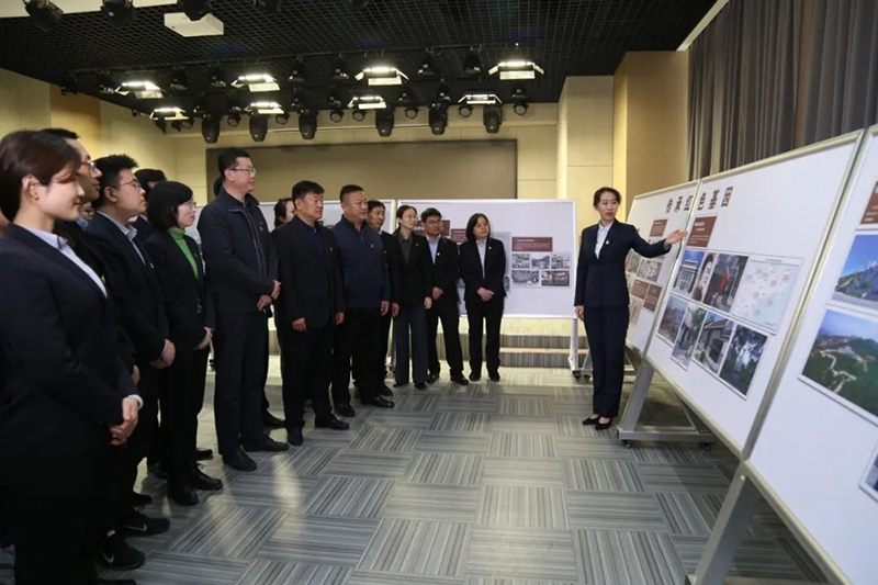 中国尊龙集团