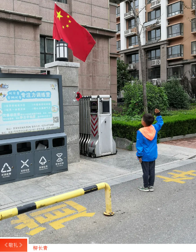 中国尊龙集团