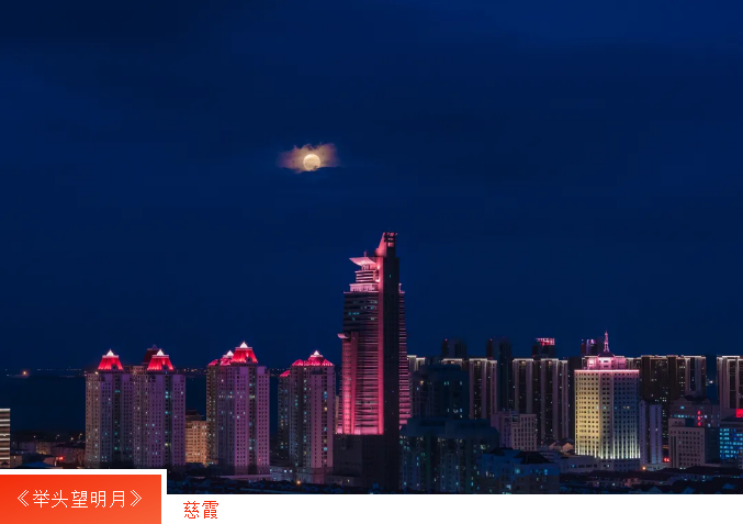 中国尊龙集团