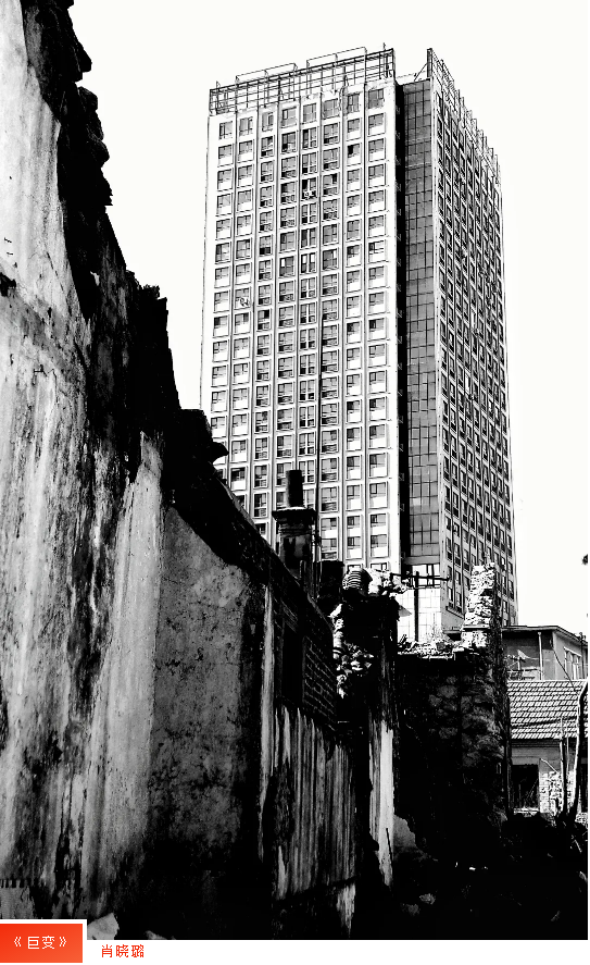 中国尊龙集团