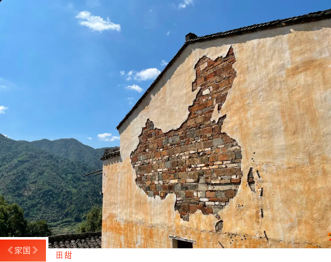 中国尊龙集团