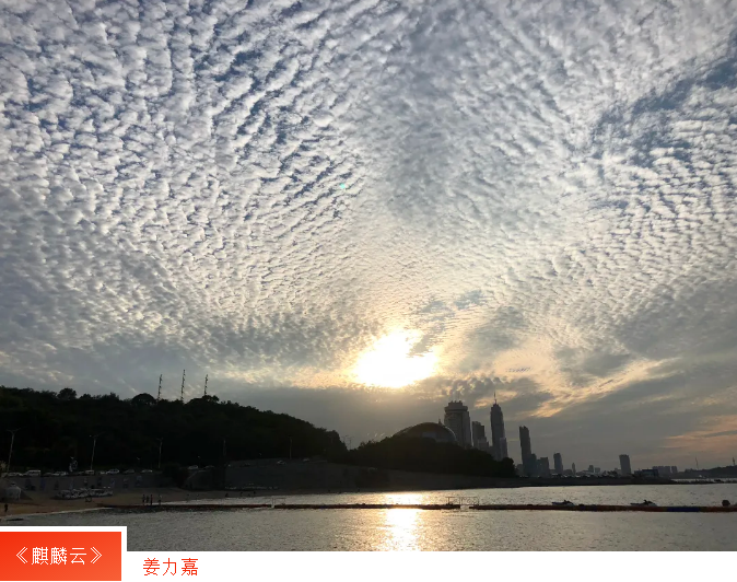 中国尊龙集团