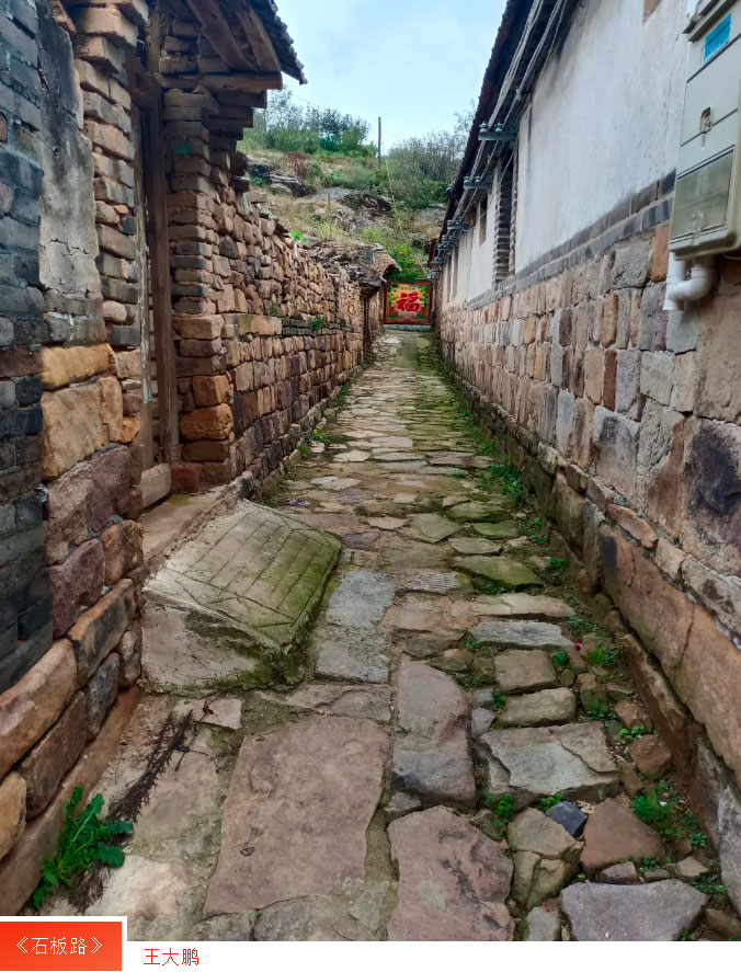 中国尊龙集团