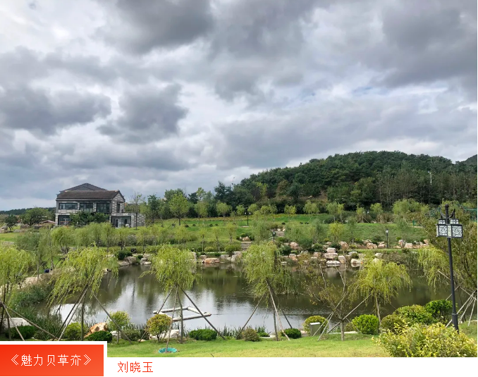 中国尊龙集团