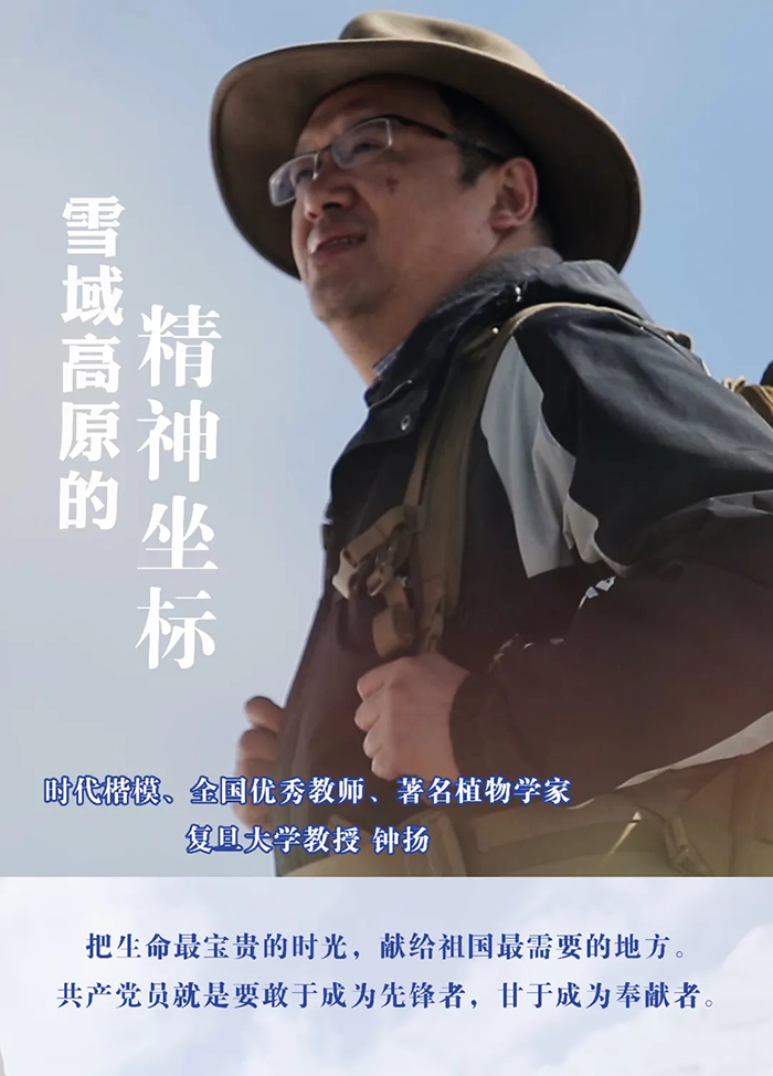 中国尊龙集团