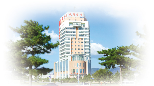 中国尊龙集团