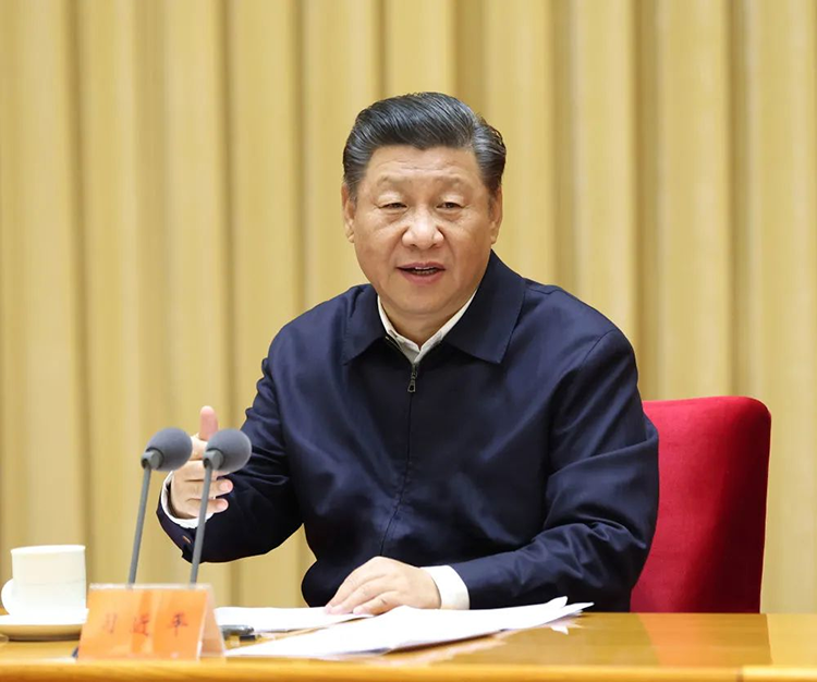 中国尊龙集团
