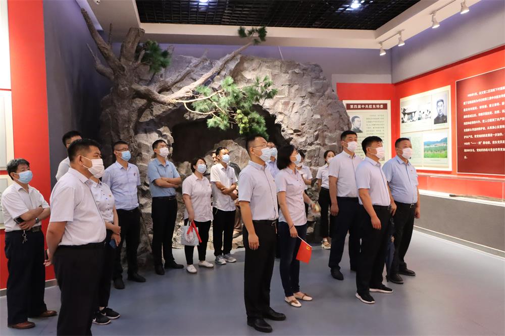 中国尊龙集团