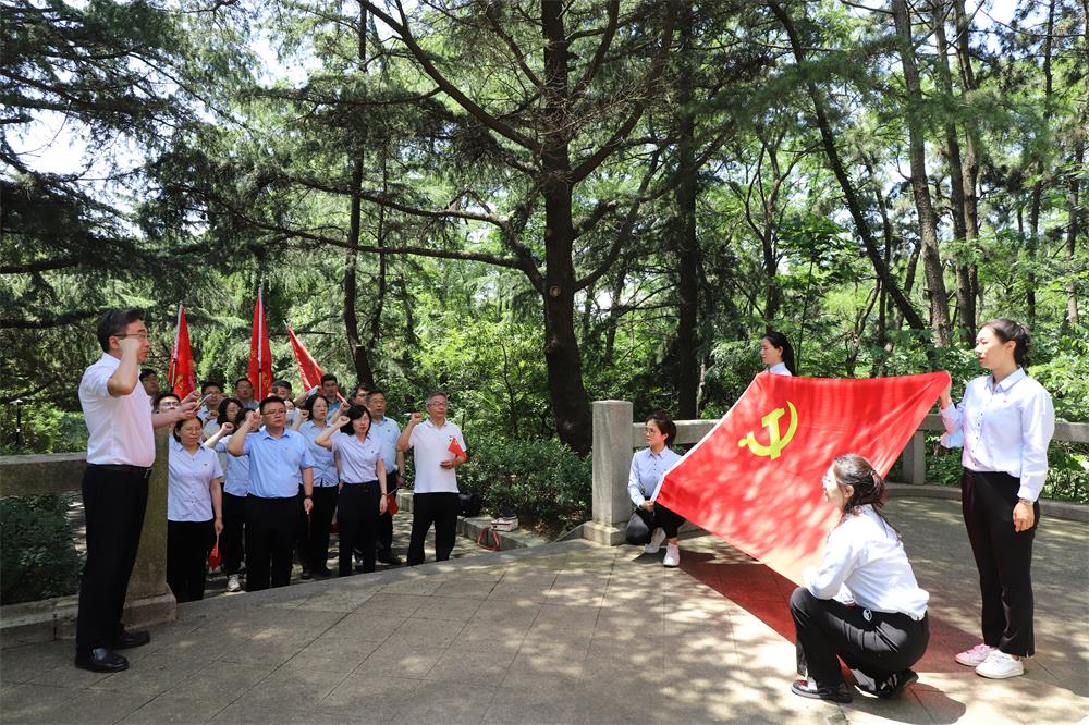 中国尊龙集团