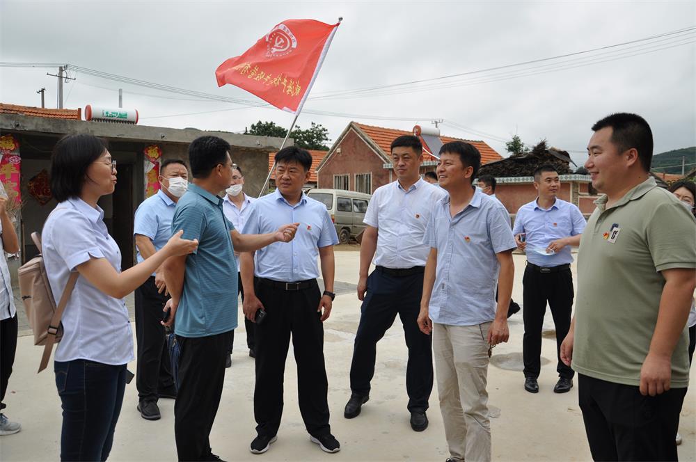 中国尊龙集团