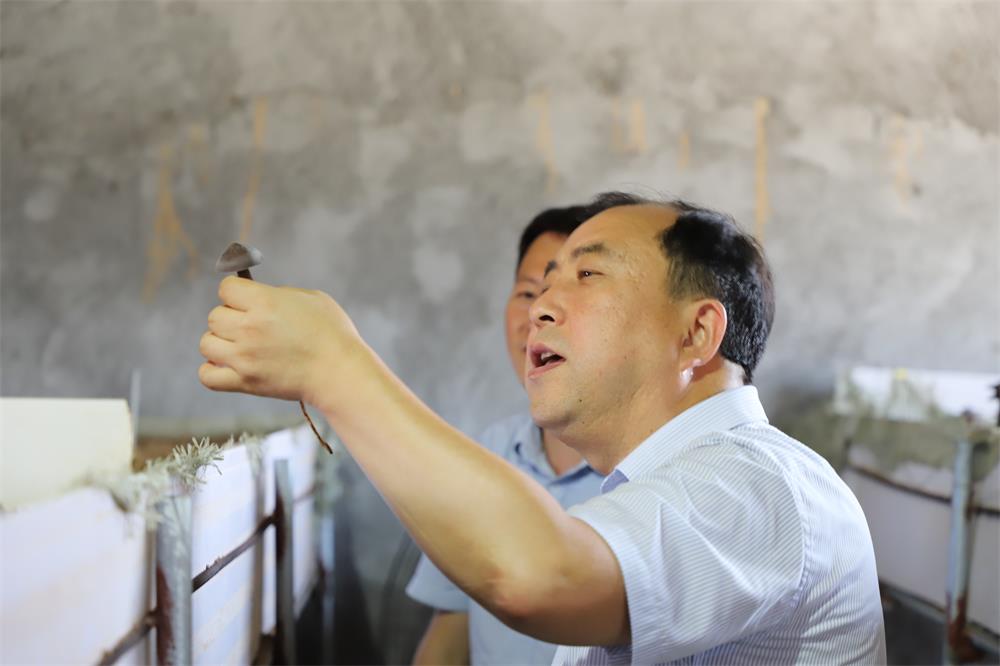 中国尊龙集团