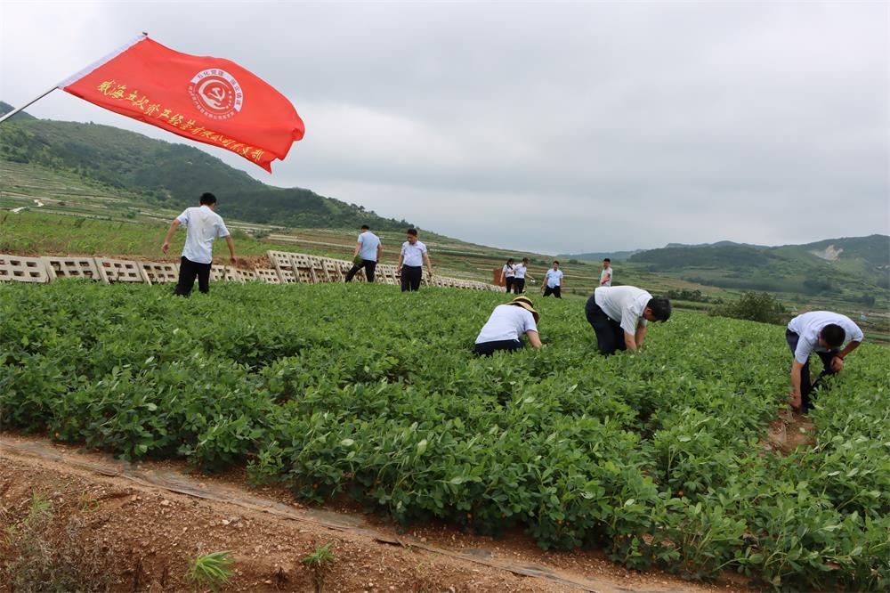 中国尊龙集团