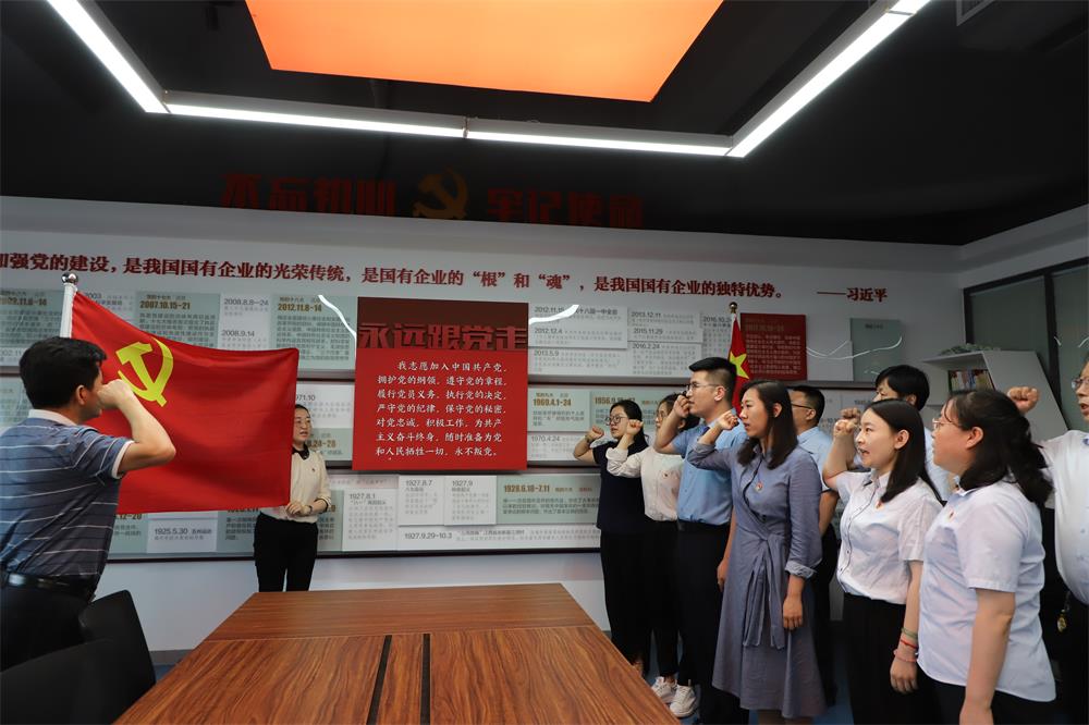 中国尊龙集团