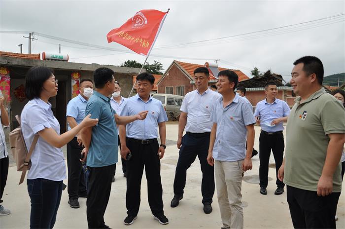 中国尊龙集团
