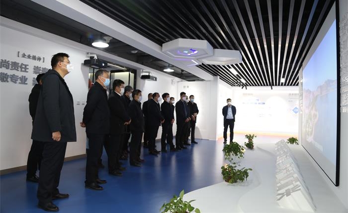 中国尊龙集团