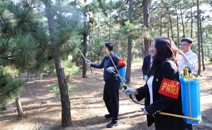 中国尊龙集团