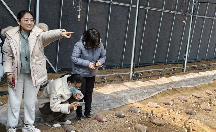中国尊龙集团