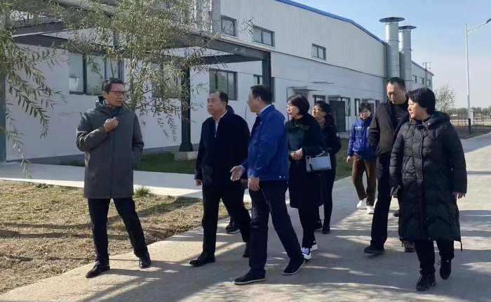 中国尊龙集团
