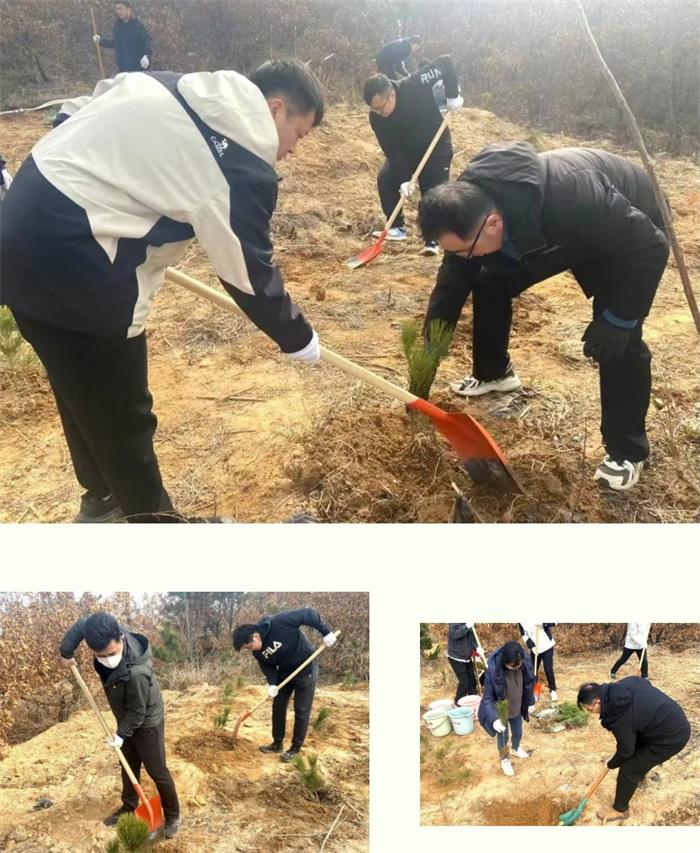 中国尊龙集团